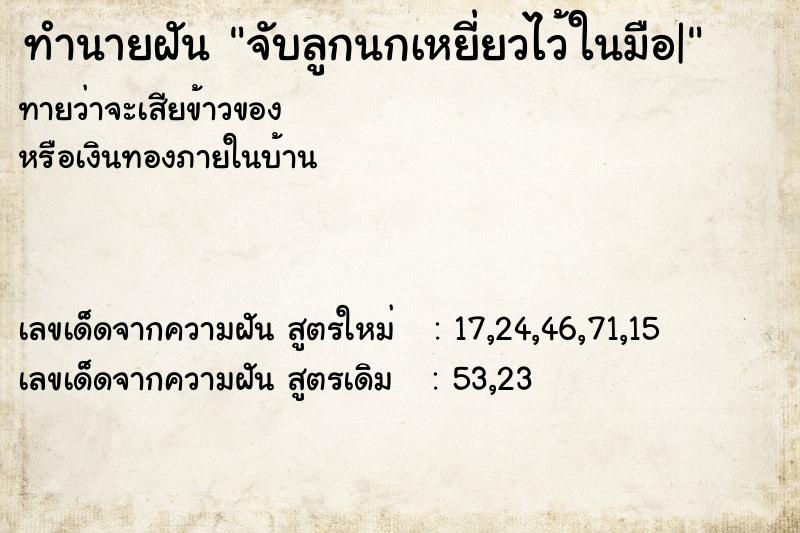 ทำนายฝัน จับลูกนกเหยี่ยวไว้ในมือ|